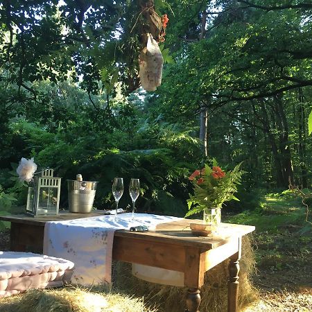 Domaine Du Vertbois La Haye-du-Theil Экстерьер фото